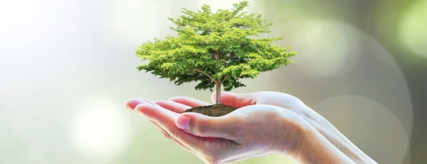 Nên chọn đá nhân tạo hay đá tự nhiên